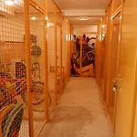 Apartment Premantura 아파트